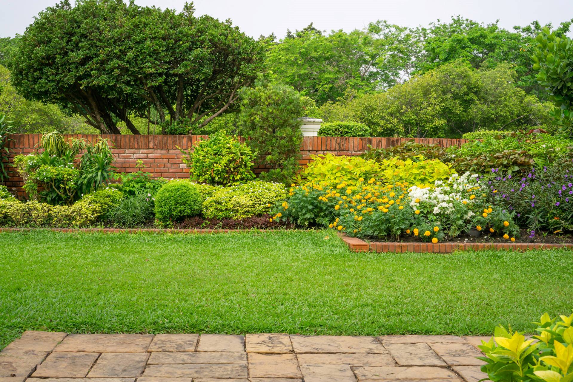 Backyard without outdoor roofing